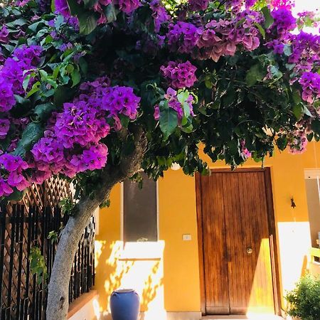 Bed and Breakfast Le Stanze Di Botticelli à Termoli Extérieur photo